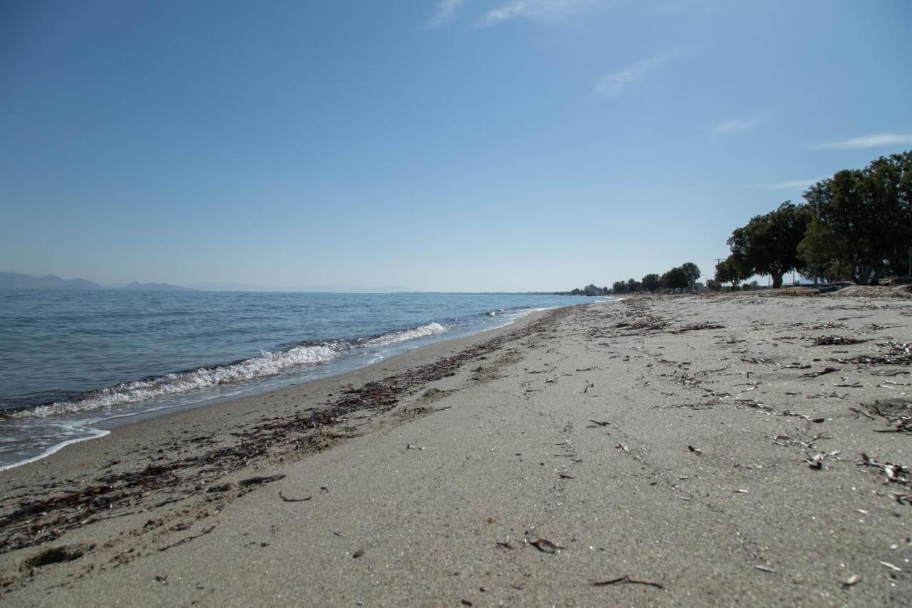 Miros Hotel Apartments Tigaki Dış mekan fotoğraf